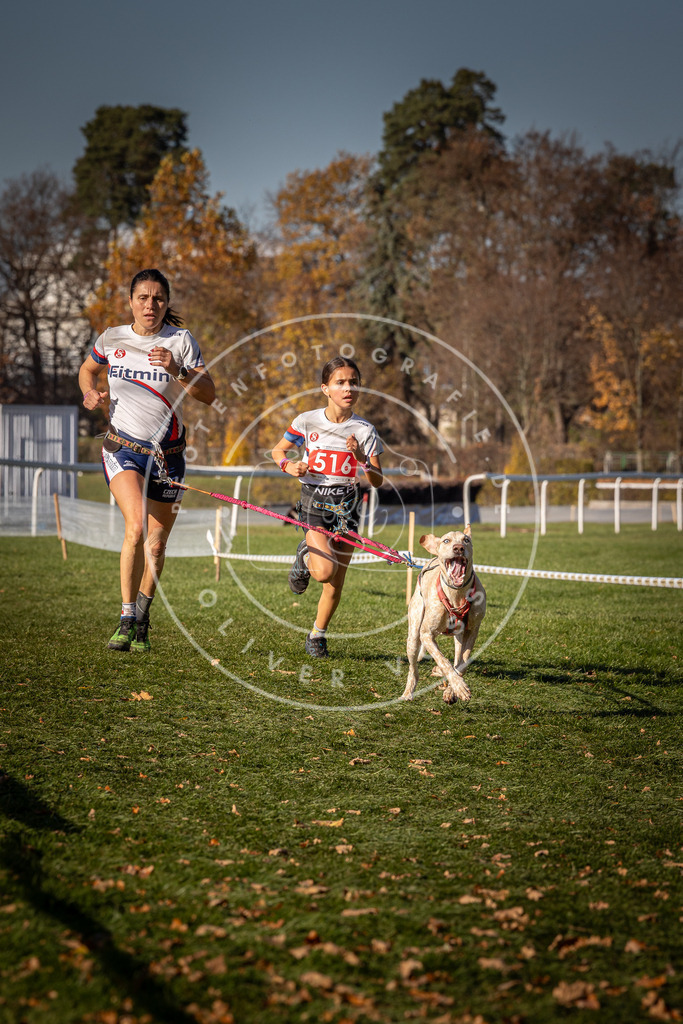 CaniXpix_0L8A6959 | Hundefotografie, Tierfotograf, Pfotenfotografie, Fotoshooting Hund, Hunde Portrait, Hundesport, Hundeportraits, Heideshooting, Hunde, Sportfotograf, Hundefotograf, Turnierhundsport, THS,  - Realisiert mit Pictrs.com