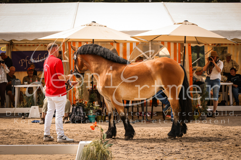 3.Sa00020 | Leoni Ertmer Photography - Realisiert mit Pictrs.com