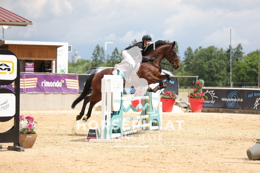 0P6A1234 | Willkommen bei Brunnmayr - Design & Fotografie – Ihrem Spezialisten für Reitturniere und Pferdeveranstaltungen in Oberösterreich, Salzburg und Bayern! Seit über 17 Jahren sind wir leidenschaftlich dabei.