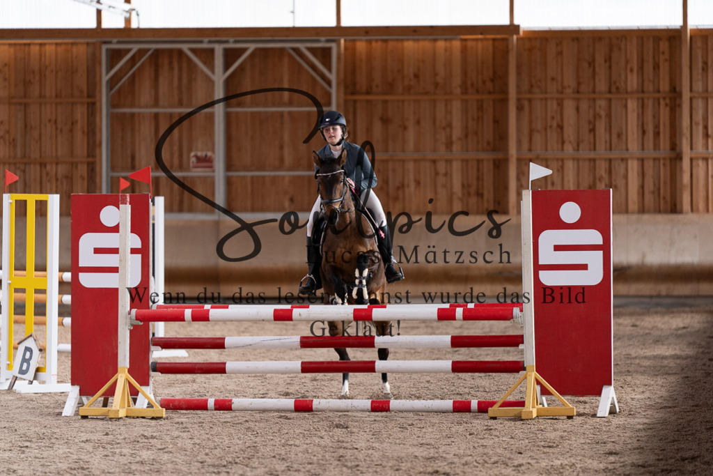 A7507819 | Pferdefotograf