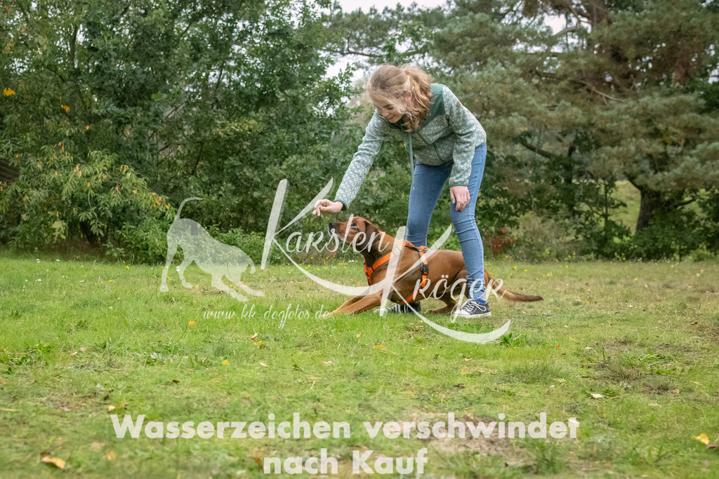 1136_ZZ94728-Bearbeitet | kk-dogfotos