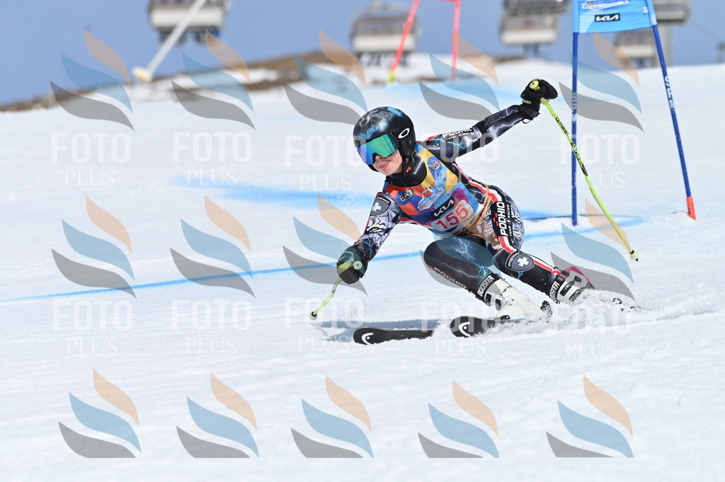 BGV_0151 | holidayphoto