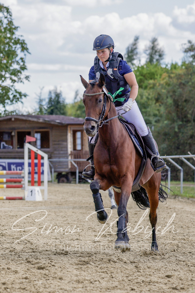 20250906-_3LI6641 | Tierfotografie Pferde, Hunde, Katzen, Haustiere.
Turnierfotografie Reitturniere, Reiten, Springreiten, Dressur in Hanau, dem Main-Kinzig-Kreis und dem Rhein-Main- Gebiet um Frankfurt