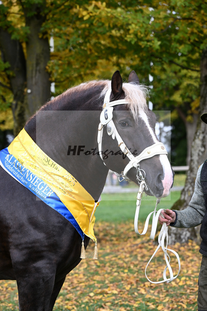 Kat-Nr. 6 Steinbach von Burggen v. Sixtus_Schleich_41251844 | hf-fotografie - Realizzato con Pictrs.com