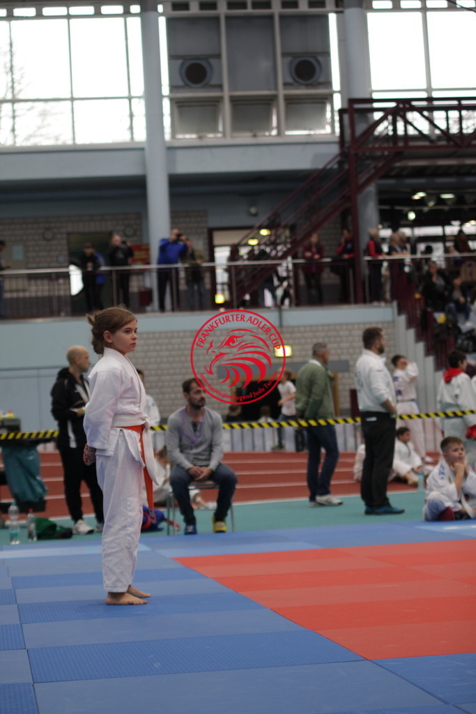 IMG_2661 | Fotos vom Adler Cup - Pictures from Adler Cup

Hier findet Ihr alle Eindrücke und großen Momente der Adler Cup Wochenenden. Here you will find all impressions and great moments of the Adler Cup weekends. - Realisiert mit Pictrs.com