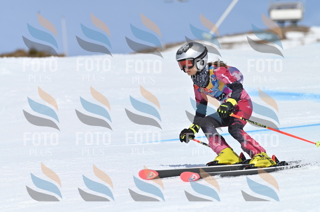 BGV_0282 | holidayphoto