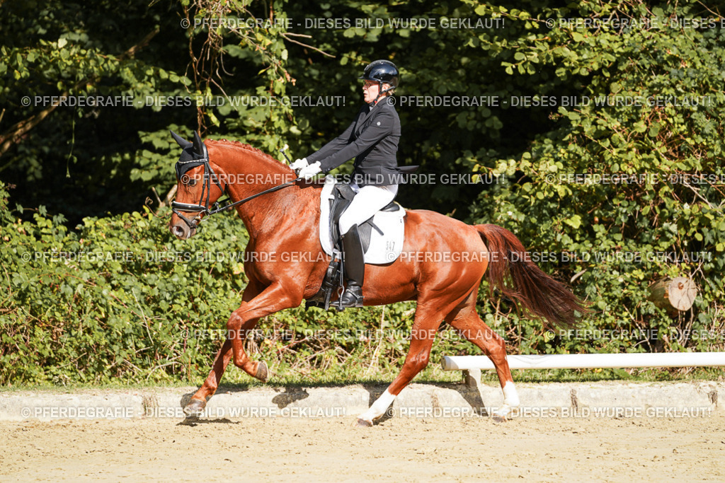 DSC08614 | Pferdegrafie