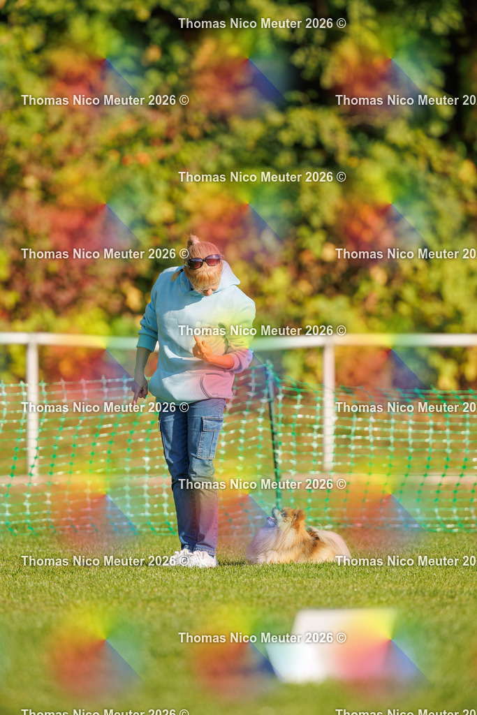 Thomas_Nico_Meuter(C)_04. Oktober 2026_223A0554 | Bild von Thomas Nico Meuter - Realisiert mit Pictrs.com