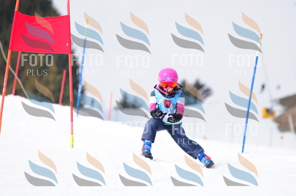 A3682 | holidayphoto