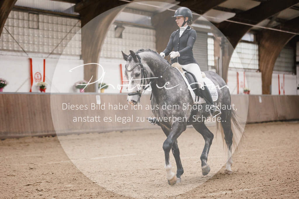 3I6A6061 | Stimmungsvolle Portraits und Reitsportfotografie im Ruhrgebiet und im Münsterland.

Pferdefotografie, Hundefotografie, Tierfotografie, Reportagen, Portraits von Tier und Mensch, Turnierfotografie in Bochum, Recklinghausen, Marl, Haltern am See, Dülmen.. - Realisiert mit Pictrs.com