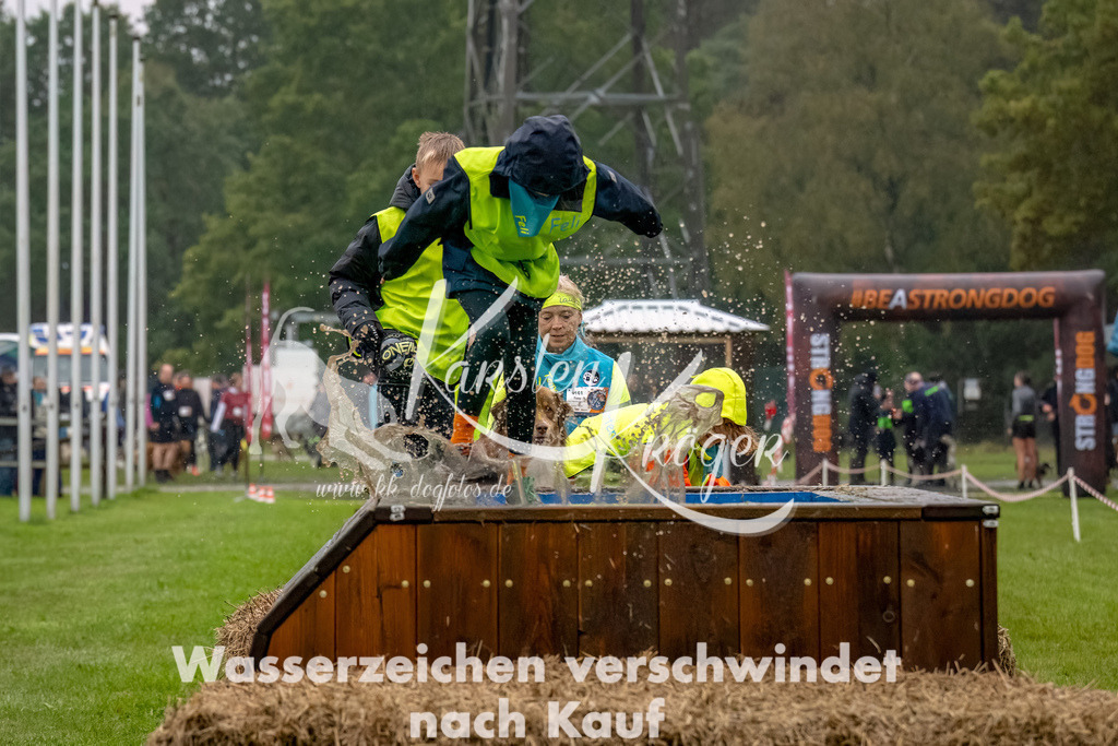 1018--2 | kk-dogfotos