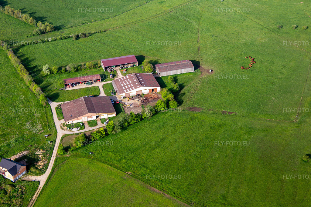 Vue aérienne: Ferme BERGWIESE à Petit-Réderching dans le département Moselle, France. Photo: IMG_140671.jpg prise le 01/05/2024 par Werner Riehm/FLY-FOTO.eu – Résolution de l'original: 5472 x 3648 px