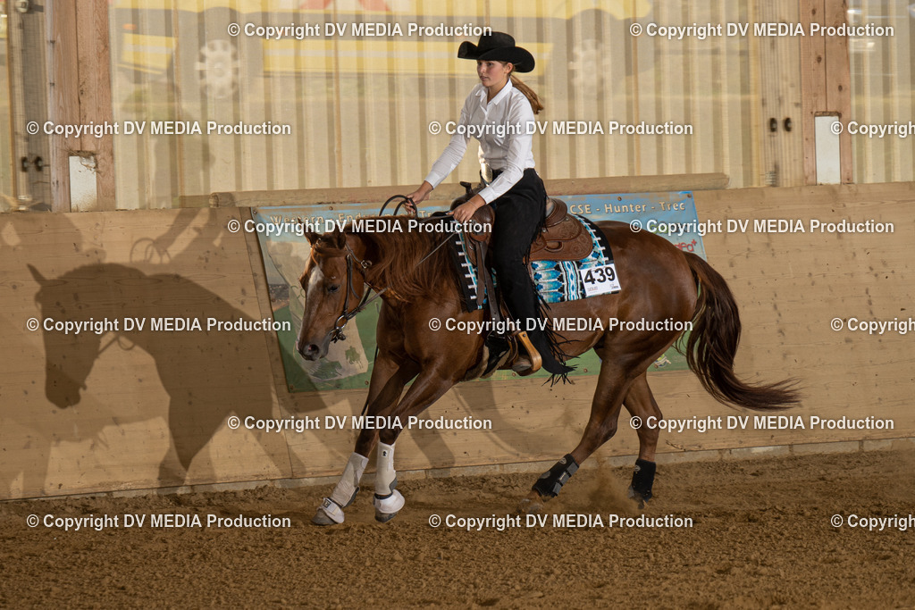 LAU02002 | dv-media-shop - Realisiert mit Pictrs.com