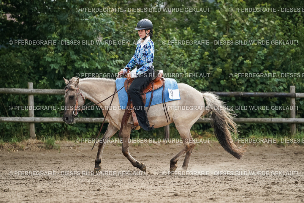 DSC03617 | Pferdegrafie