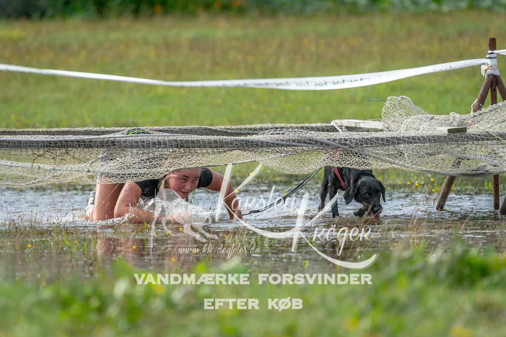 1108STR_1933 | kk-dogfotos