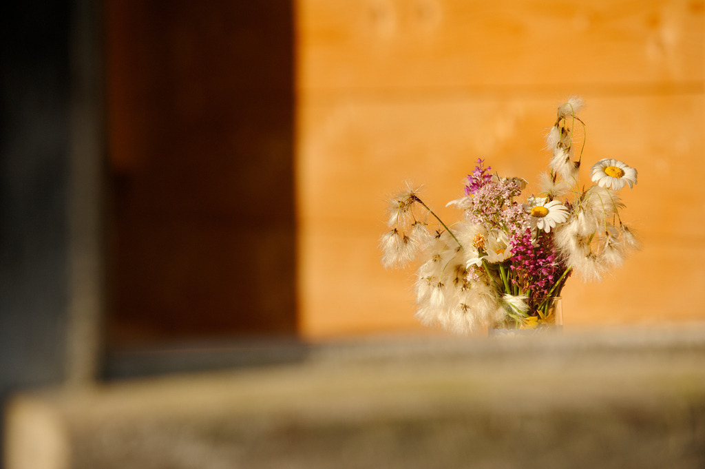 Blumenstrauss auf Veranda | Schoenenbach, Austria - July 24, 2012: Vorsäßsiedlung Schönenbach;  Blumenstrauss auf der Veranda. - Realisiert mit Pictrs.com