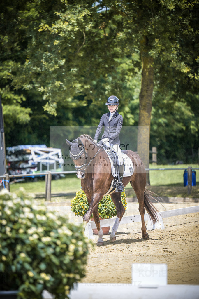 DOS_0890 | Entdecke hochwertige Reitturnierfotos von Foto Oger. Professionell, emotional und authentisch – jetzt Lieblingsmomente im Shop bestellen.Deutschlandweite Turnierfotografie. - Realisiert mit Pictrs.com