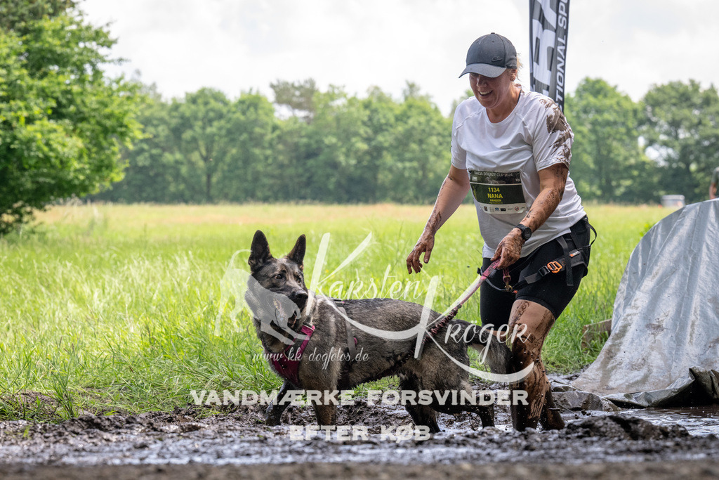 1148_ZZ94639 | kk-dogfotos