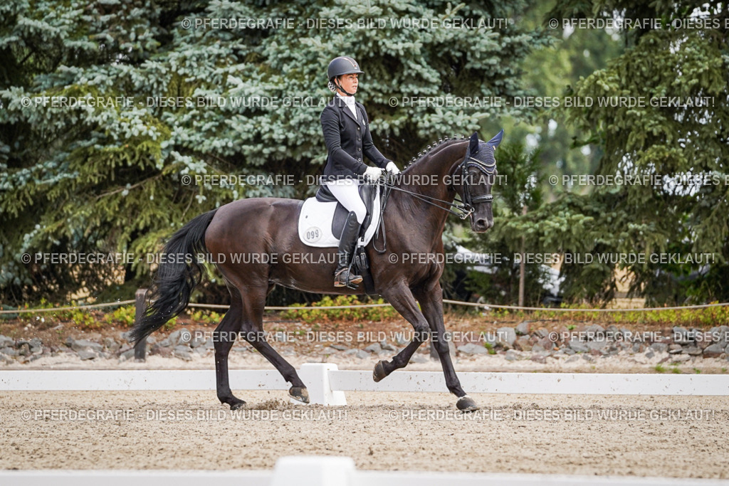 DSC03608 | Pferdegrafie