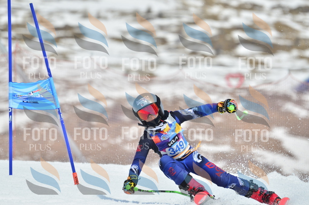 _ELE2648 | holidayphoto