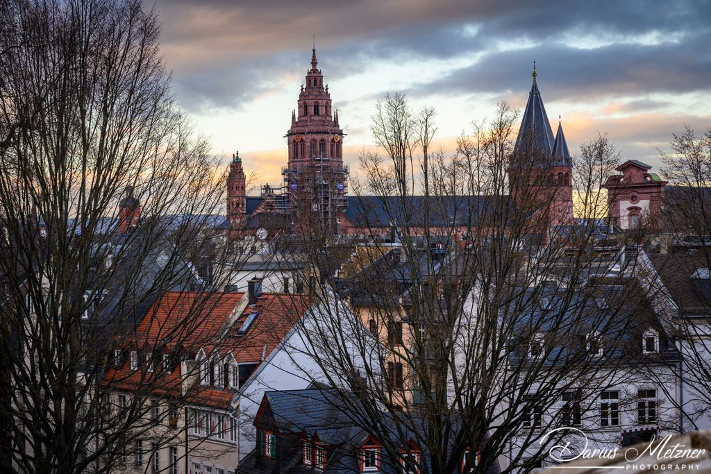 Der Hohe Dom St. Martin zu Mainz | Der Hohe Dom St. Martin zu Mainz