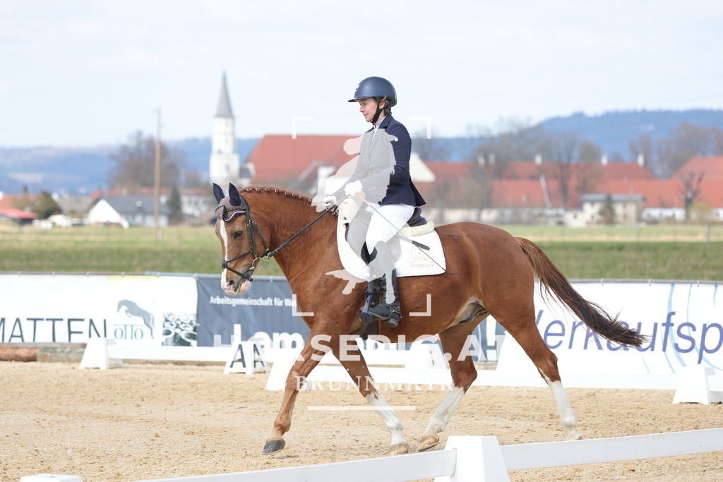 0P6A7625 | Willkommen bei Brunnmayr - Design & Fotografie – Ihrem Spezialisten für Reitturniere und Pferdeveranstaltungen in Oberösterreich, Salzburg und Bayern! Seit über 17 Jahren sind wir leidenschaftlich dabei.