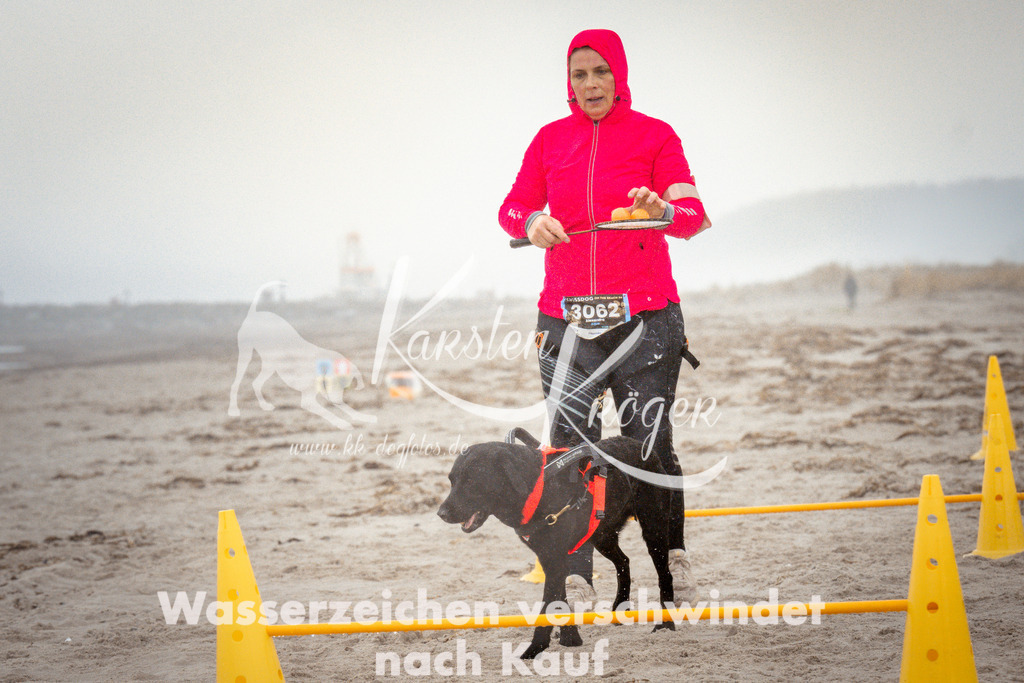 1109_ZZ96946 | kk-dogfotos