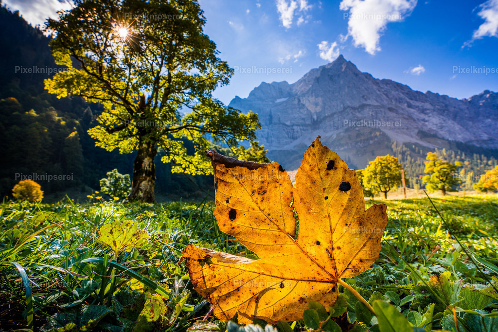 Ahornboden | Fotograf Tirol Imst Pixelknipserei