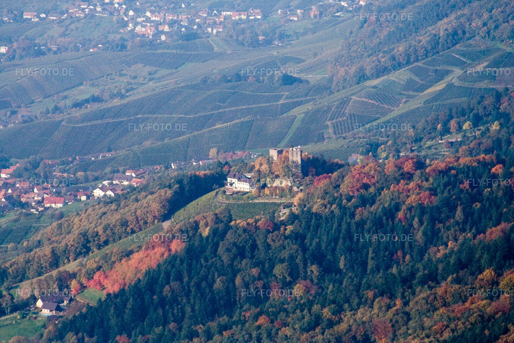 Luftbild: Burgruine Neu-Windeck im Ortsteil Matzenhöfe in Lauf im Bundesland Baden-Württemberg in Deutschland. Foto: IMG_13962.jpg vom 11.10.2008 durch Werner Riehm/FLY-FOTO.de