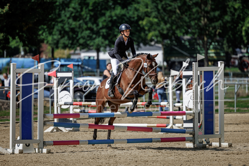 20260905-_3LI8531 | Tierfotografie Pferde, Hunde, Katzen, Haustiere.
Turnierfotografie Reitturniere, Reiten, Springreiten, Dressur in Hanau, dem Main-Kinzig-Kreis und dem Rhein-Main- Gebiet um Frankfurt