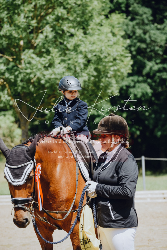 DSC_2689 | Pferde- und Turnierfotografie in Westsachsen. Pferdeportraits, Auftragszeichnungen und intuitive Kunst.