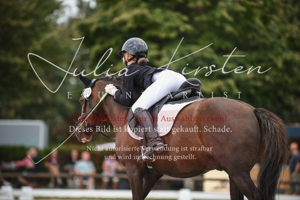DSC_8185 | Pferde- und Turnierfotografie in Westsachsen. Pferdeportraits, Auftragszeichnungen und intuitive Kunst.