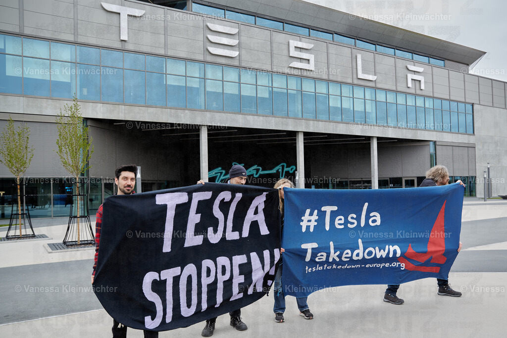 250412_TeslaWaldspaziergang_00015 | Vanessa Kleinwächter - Realisiert mit Pictrs.com