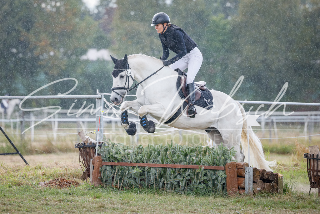 20250905-_3LI0814 | Tierfotografie Pferde, Hunde, Katzen, Haustiere.
Turnierfotografie Reitturniere, Reiten, Springreiten, Dressur in Hanau, dem Main-Kinzig-Kreis und dem Rhein-Main- Gebiet um Frankfurt