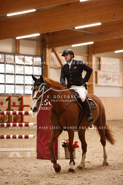 1J2A8145Kevin Vesper_ Lando Blue V_ Kn329_ Glantz_ Hohen Wieschendorf | Foto- und Videografie für alles rund ums Pferd. Hochwertige Bilder und Videos vom Spring- und Dressurreiten, Voltigieren & mehr. Jetzt aktuelle Veranstaltungen und Preise im Shop ansehen. - Realisiert mit Pictrs.com