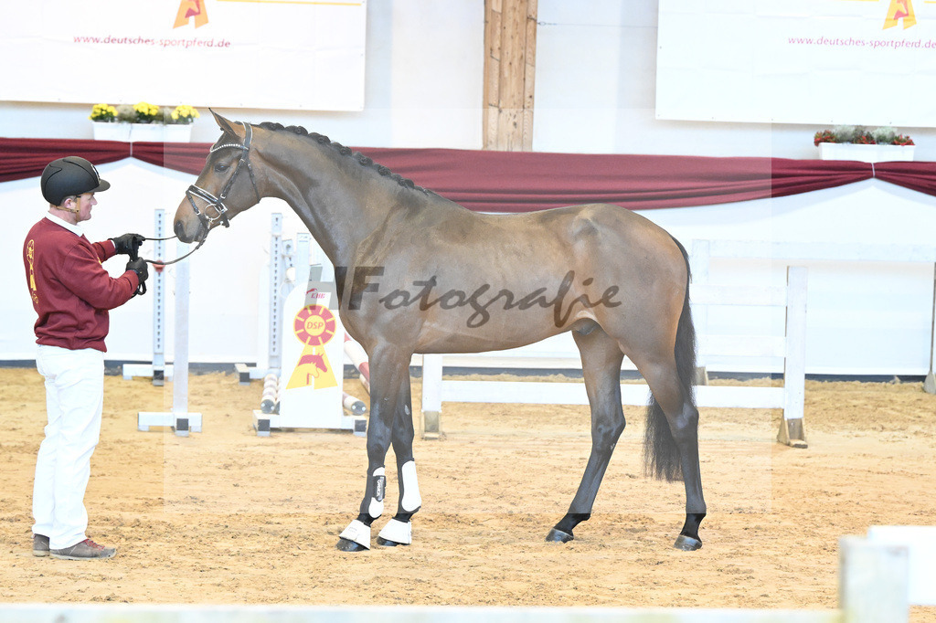 Kat-Nr. 60 v. Zinedream_Schreder_66221342 | hf-fotografie - Realisiert mit Pictrs.com