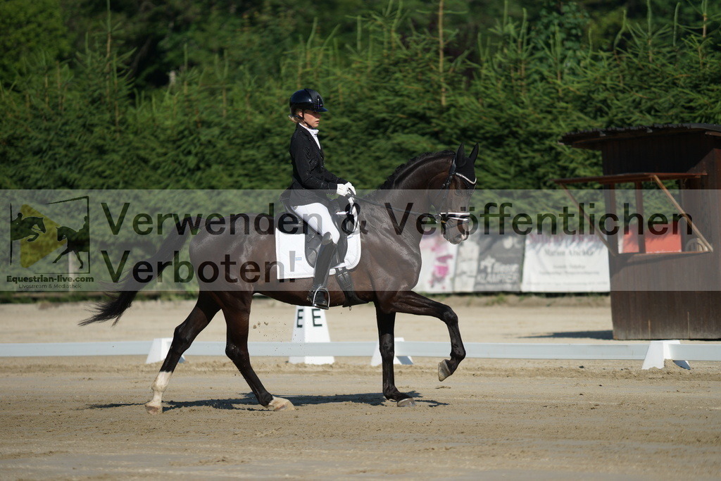 DSC02803 | equestrian-live-com