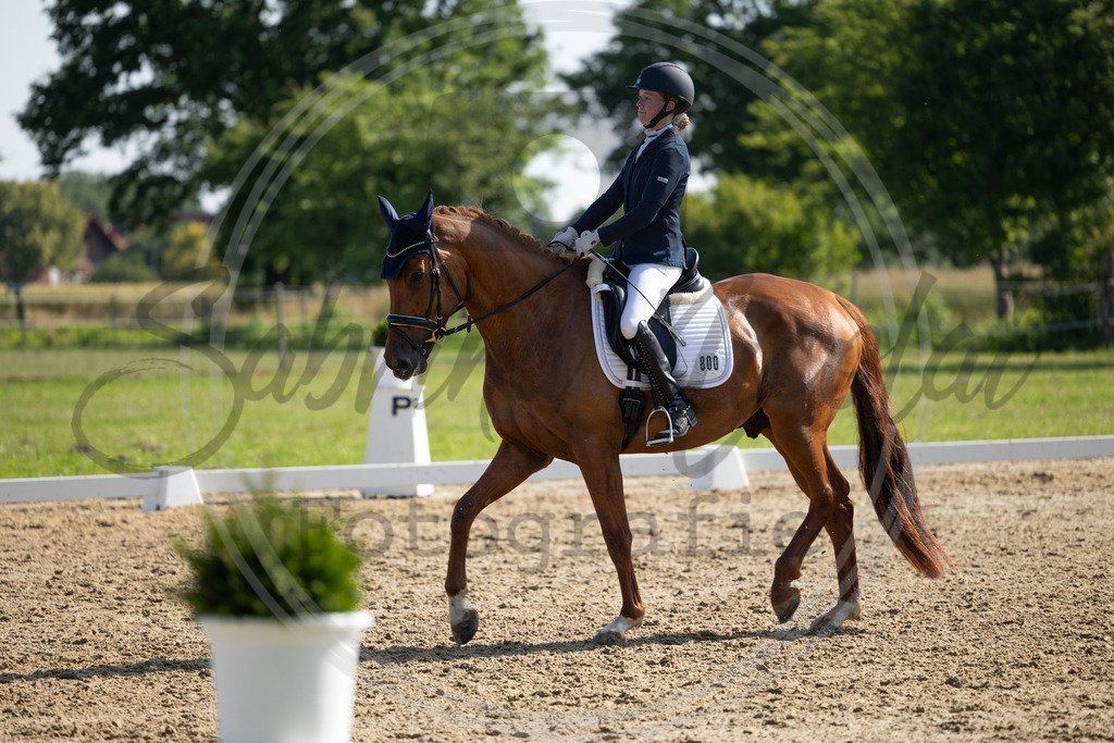 994A4341 | sabrinanicolaifotografie - Realisiert mit Pictrs.com