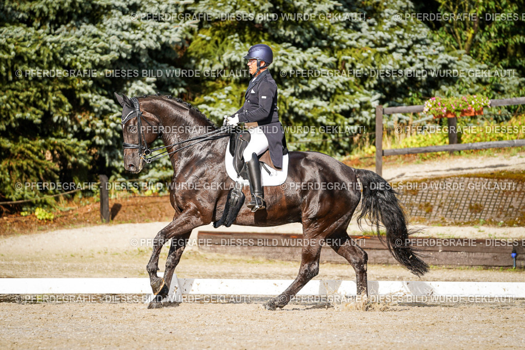 DSC00382 | Pferdegrafie