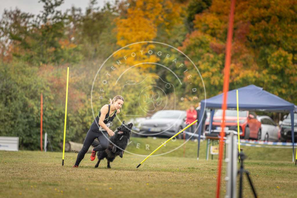Pfotenfotografie_DV3A3552 | Hundefotografie, Tierfotograf, Pfotenfotografie, Fotoshooting Hund, Hunde Portrait, Hundesport, Hundeportraits, Heideshooting, Hunde, Sportfotograf, Hundefotograf, Turnierhundsport, THS,  - Realisiert mit Pictrs.com