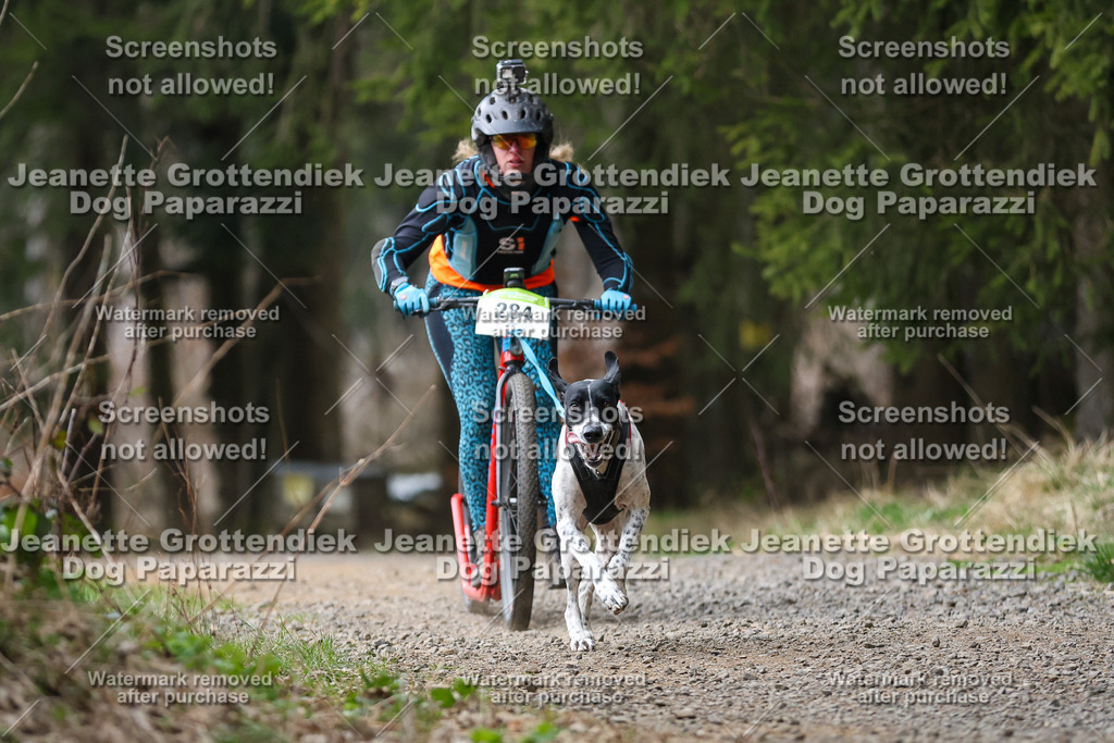 Dog Paparazzi - VCC26-527 | Dog Paparazzi Jeanette Grottendiek Fotografie & Videografie - Realisiert mit Pictrs.com
