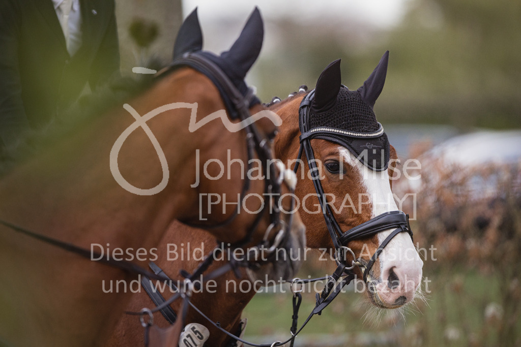 230426_HofSosath_Stil-M-686 | Deine schönsten Turniermomente als professionelle Fotos! Entdecke hochwertige Pferdesport-Fotografie im Online-Shop. Jetzt Fotos finden & bestellen!
