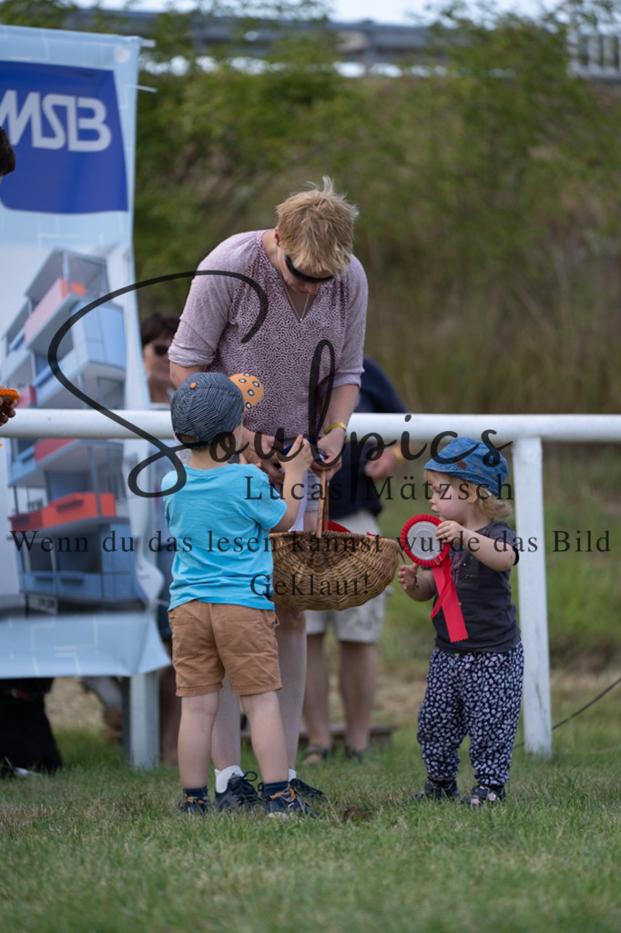 A7V00562 2 | Pferdefotograf