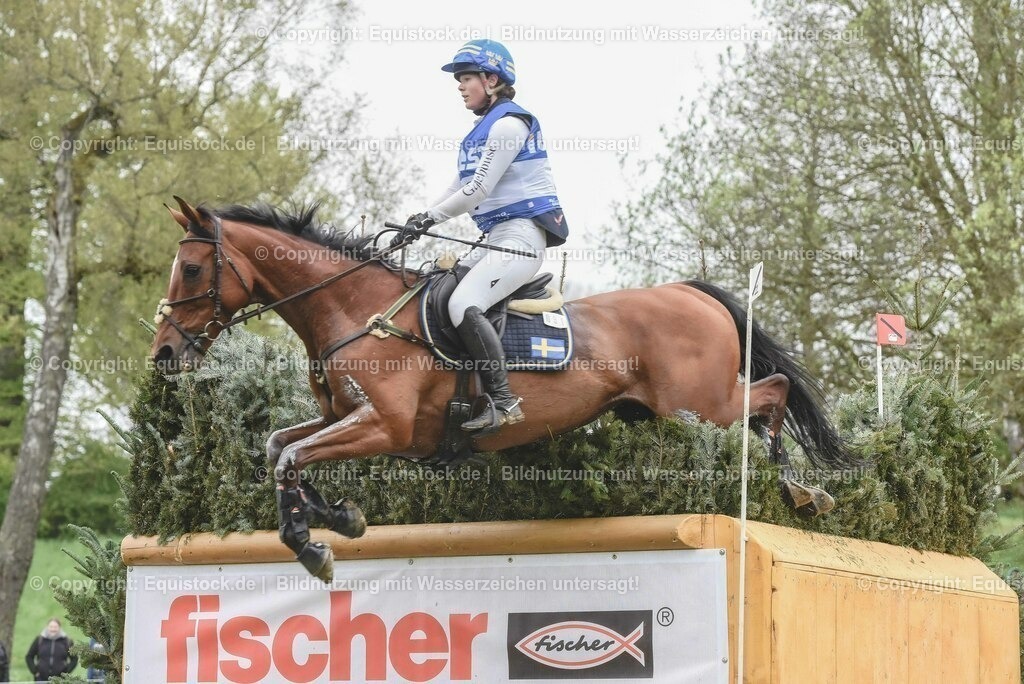20230513_CCI4_Gelände_0461 | equistock