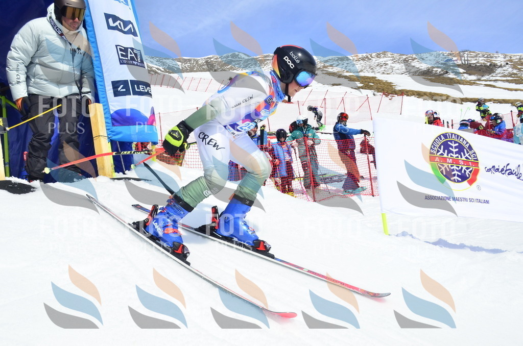 _ELE1882 | holidayphoto