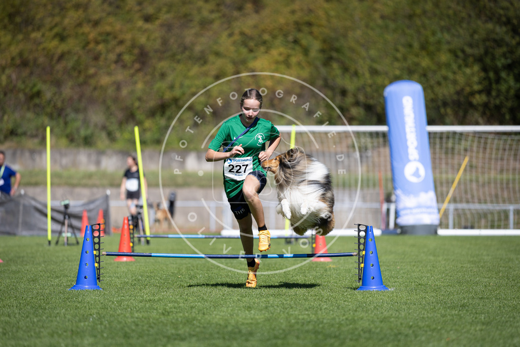 Pfotenfotografie_DV3A5628 | Hundefotografie, Tierfotograf, Pfotenfotografie, Fotoshooting Hund, Hunde Portrait, Hundesport, Hundeportraits, Heideshooting, Hunde, Sportfotograf, Hundefotograf, Turnierhundsport, THS,  - Realisiert mit Pictrs.com
