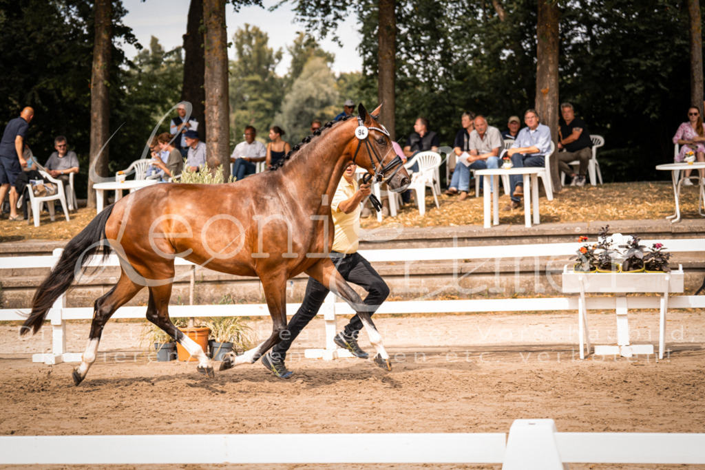 6.Fr00138 | Leoni Ertmer Photography - Realisiert mit Pictrs.com