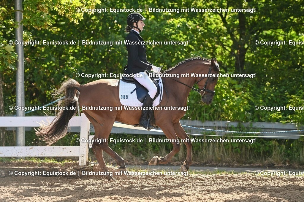 20230716_04_Dressurreiterprüfung Kl.A_0156 | equistock