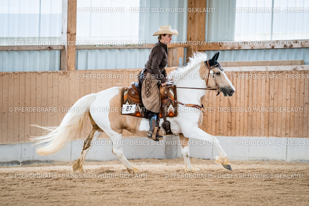 DSC09187 | Pferdegrafie