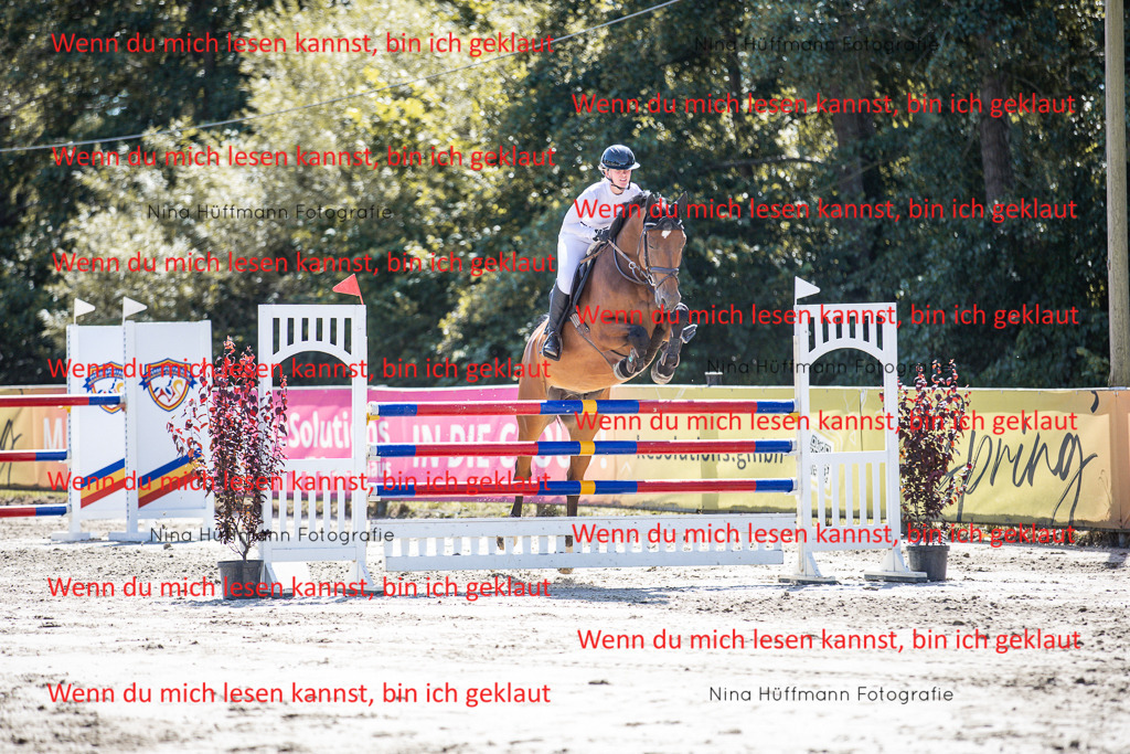 BK1A6395 | Turnierbilder Turnierfotos Nina Hüffmann Turnierfotografie Pferdefotografie Tierzeichnung Haustierzeichnung Pferdezeichnung Hundezeichnung Videograf  - Realisiert mit Pictrs.com